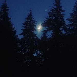 Meet your Posher, Anne